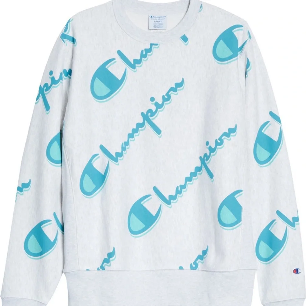 Champion Crewneck Sweatshirt - Picture 13 of 14